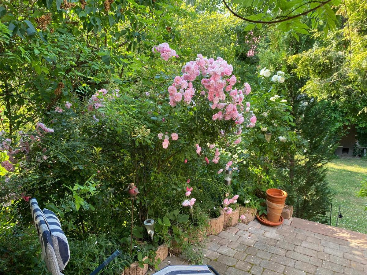 Ferienwohnung Mit Schoener Terrasse. Ellerstadt 외부 사진